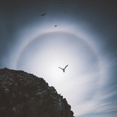 Cover for Logic Moon & Atmøsphäre - Terraforming